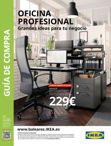 Professional Office