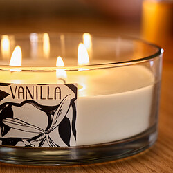 LOTSFÅGEL scented cndl in glass w lid/3 wicks