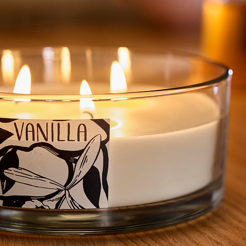 LOTSFÅGEL scented cndl in glass w lid/3 wicks