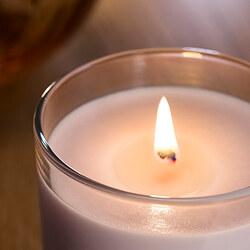 LOTSFÅGEL scented candle in glass