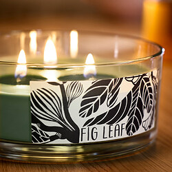 LOTSFÅGEL scented cndl in glass w lid/3 wicks