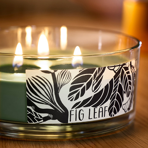 LOTSFÅGEL scented cndl in glass w lid/3 wicks