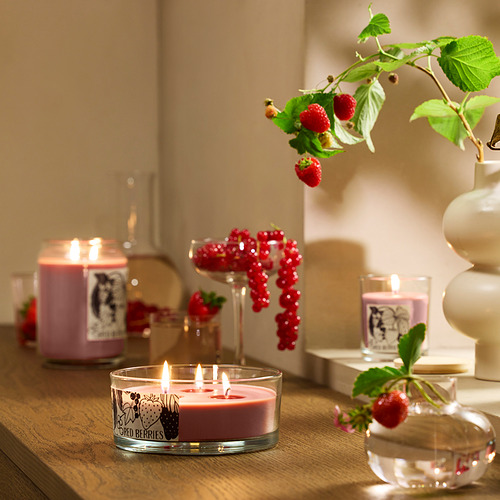 LOTSFÅGEL, scented candle in glass with lid. 3 of 8 open dialog