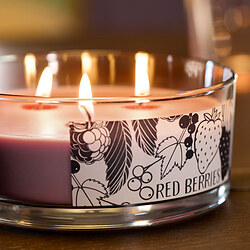 LOTSFÅGEL scented cndl in glass w lid/3 wicks