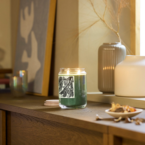 PRAKTHÄGER, scented cndl in glass w lid/2 wicks. 2 of 6 open dialog