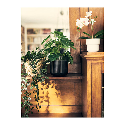 FEJKA, planta artificial. 3 de 4 open dialog