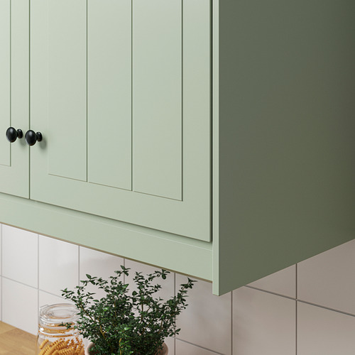 Armarios de cocina verdes con pomos oscuros y planta.