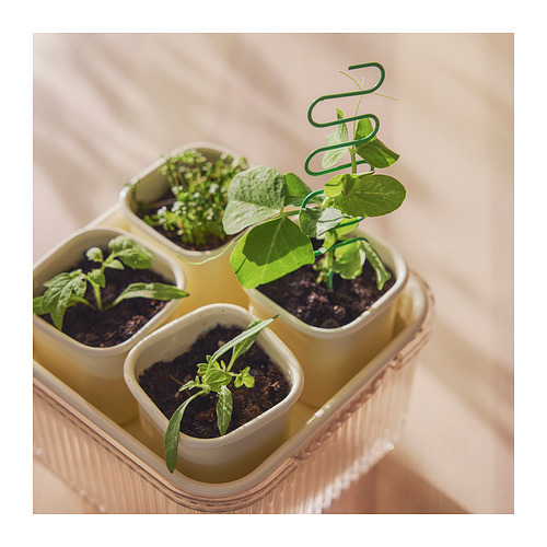 DOFTRIPS, plant starter set. 5 of 8 open dialog