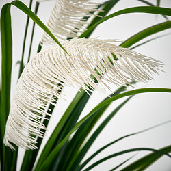 FEJKA planta artificial