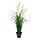 Select colour variation: Grass