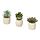 Select colour variation: Succulent