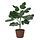 Select colour variation: Fig