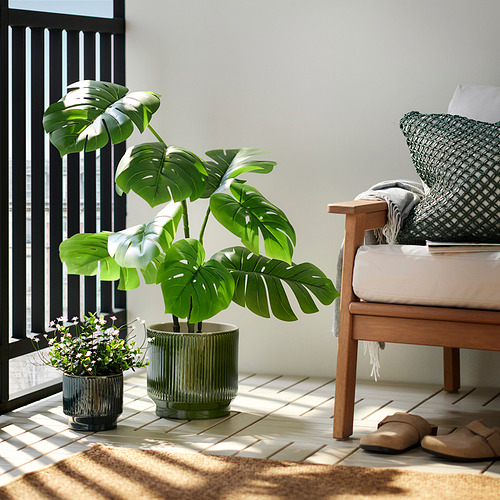 HONUNGSPALM, plant pot. 2 of 4 open dialog