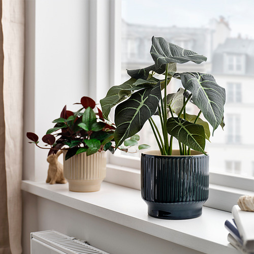 HONUNGSPALM, plant pot. 4 of 5 open dialog