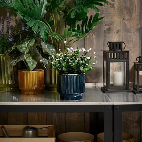 HONUNGSPALM, plant pot. 2 of 5 open dialog