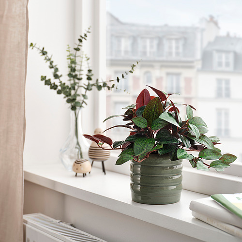 HASSELBUKETT, plant pot. 2 of 5 open dialog