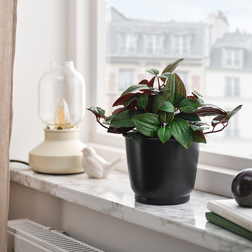 BROKTRAST, plant pot. 4 of 4 open dialog
