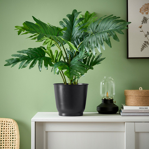 BROKTRAST, plant pot. 4 of 4 open dialog
