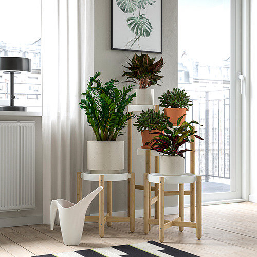 SATSUMAS, soporte para plantas. 4 de 4 open dialog