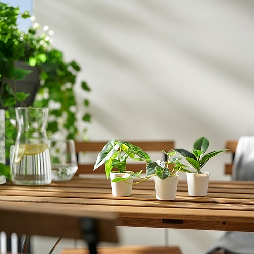 FEJKA, planta artificial maceta j3. 3 de 4 abrir diálogo