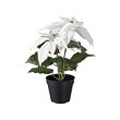 VINTERFINT artificial potted plant