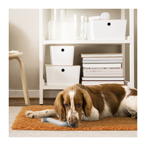 Un perro yace sobre una alfombra naranja y mullida delante de una estantería con cajas blancas de almacenamiento y libros.