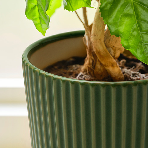 Cerámica acanalada verde con planta robusta y sana; muestra artesanía y calidad.
