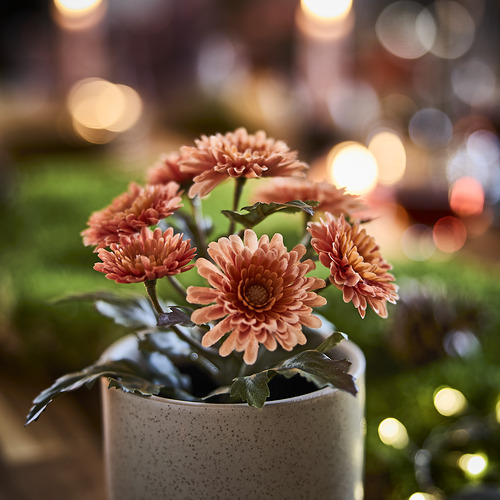 FEJKA, artificial potted plant. 3 of 3 open dialog