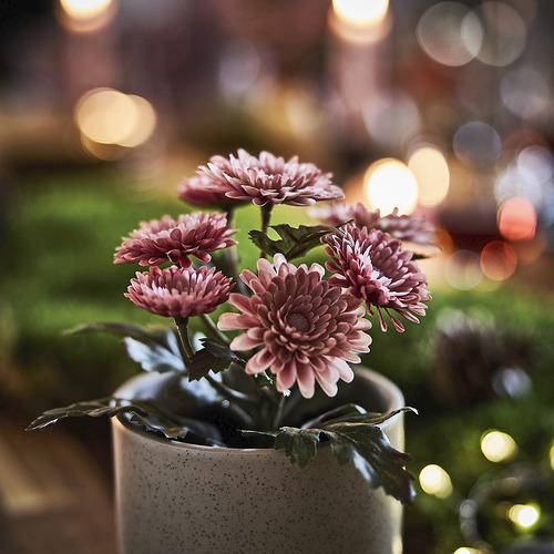 FEJKA, artificial potted plant. 3 of 3 open dialog