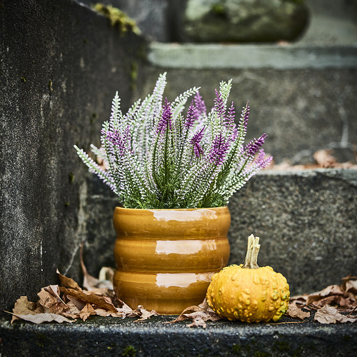 FEJKA, artificial potted plant. 2 of 2 open dialog