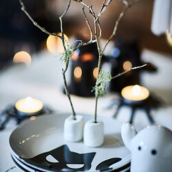 KUSTFYR plato de postre