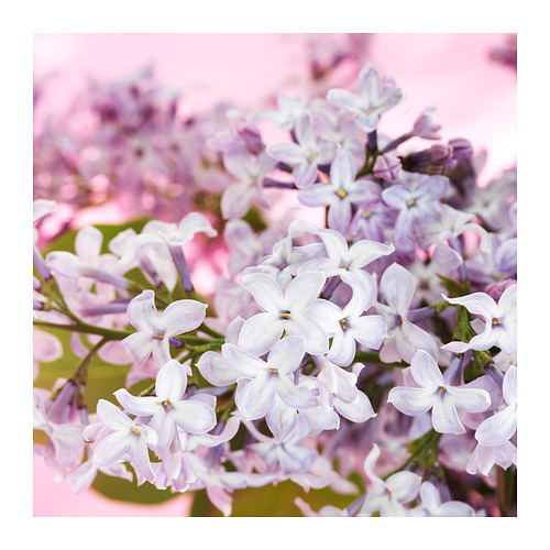 MORKULLA, scented candle in glass. 6 of 6 open dialog