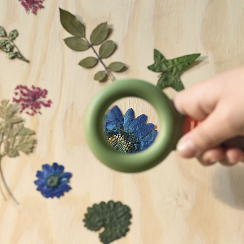 Mano de un niño usando una lupa de juguete para examinar un pétalo de flor azul sobre una superficie de madera rodeada de varias hojas y flores.