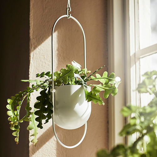 CHILISTRÅN, hanging planter 2 of 5 open dialog