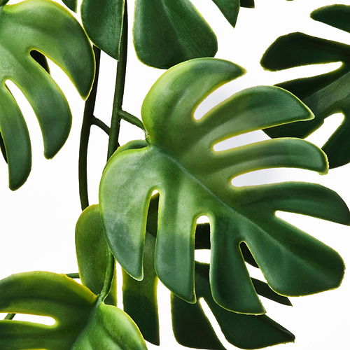 FEJKA, planta artificial. 4 de 4 open dialog