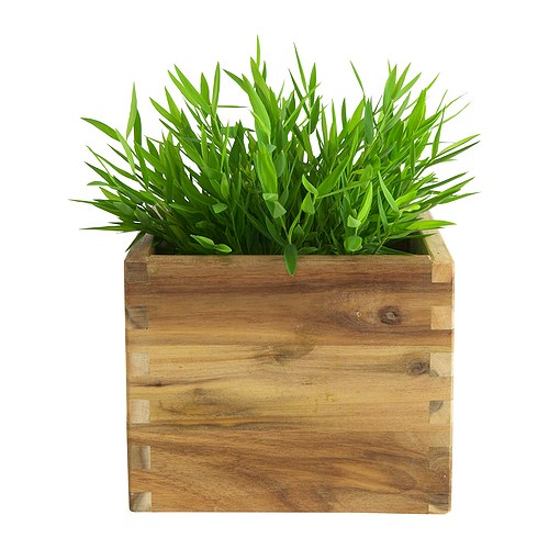 FEJKA, planta artificial. 4 de 6 open dialog