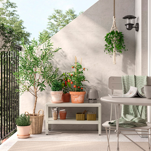 DJURTRÄNARE, basket. 4 of 7 open dialog