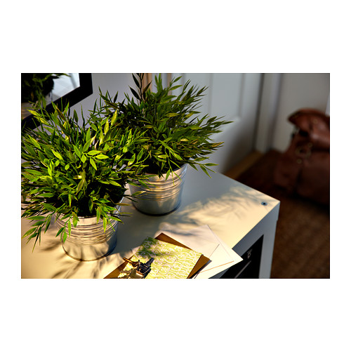 FEJKA, planta artificial. 5 de 6 open dialog