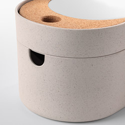 SAXBORGA storage box with mirrored lid