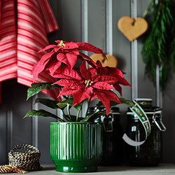 VINTERFINT plant pot