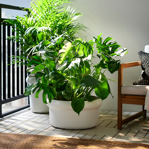 MÅBÄRSBUSKE, maceta. 2 de 4 open dialog