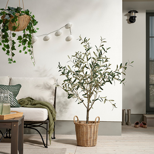 FLODBJÖRK, plant pot. 2 of 6 open dialog