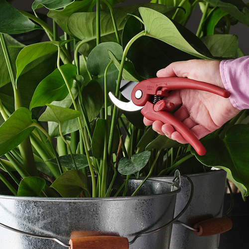 BRYTBÖNA, tijeras de podar. 3 de 3 open dialog