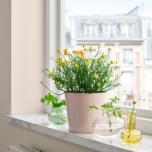 FEJKA, artificial potted plant. 3 of 3 open dialog