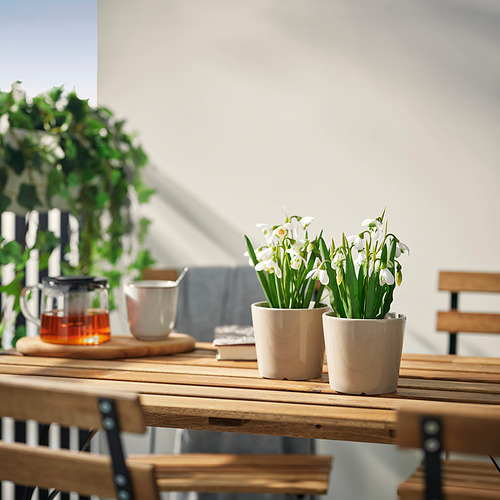 FEJKA, artificial potted plant. 3 of 3 open dialog