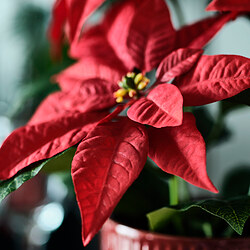 VINTERFINT artificial potted plant
