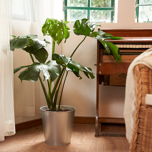 ÅKERBÄR, plant pot 2 of 7 open dialog