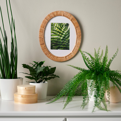 TRIVIALSKOG, frame. 3 of 4 open dialog