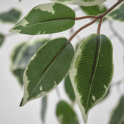 FEJKA planta artificial