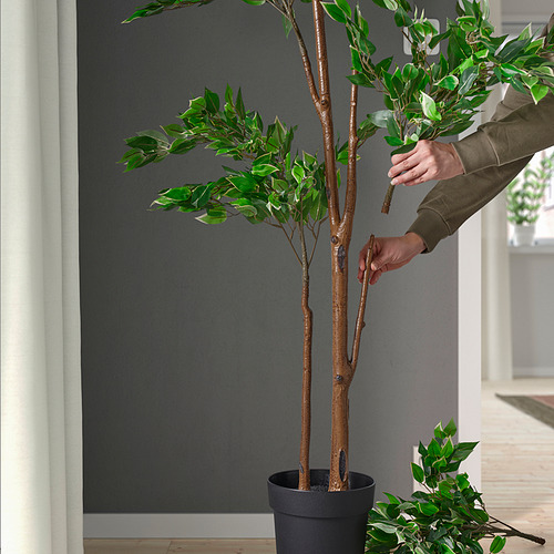 FEJKA, planta artificial. 3 de 4 open dialog